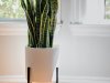 Create Your Own Indoor Plant Stand