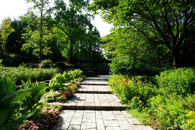 How to Plan a Landscape Layout Like a Professional