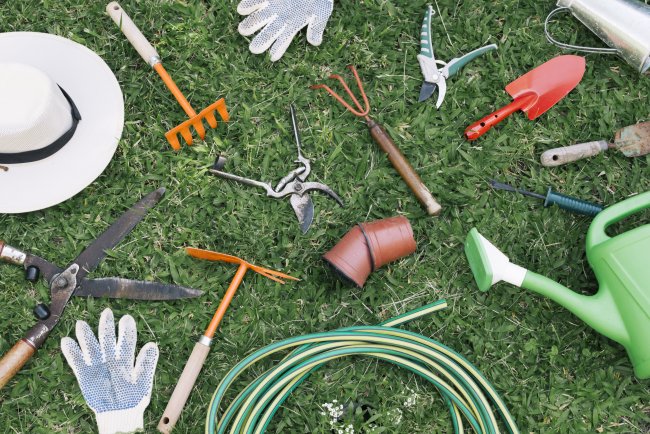 Best Landscaping Tools Every Beginner Needs